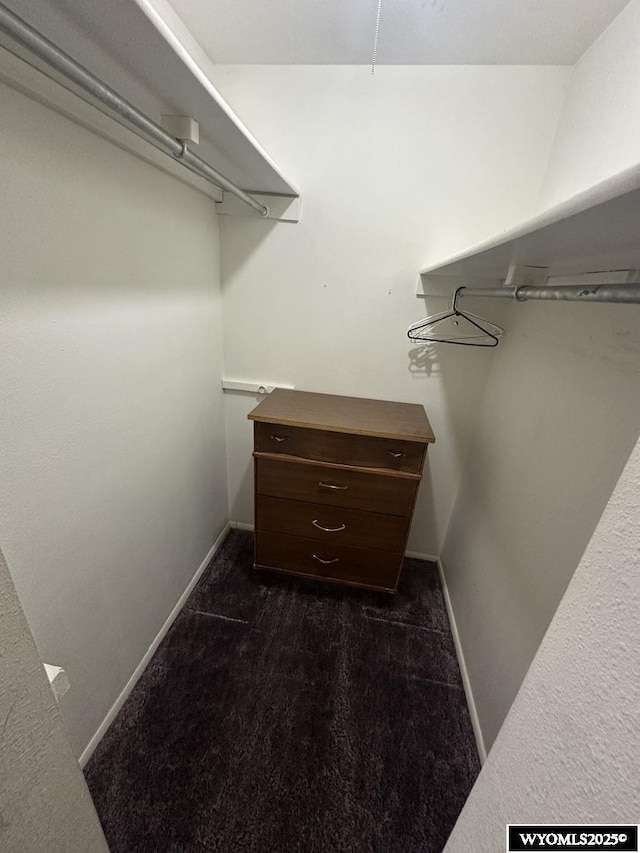 spacious closet with dark carpet