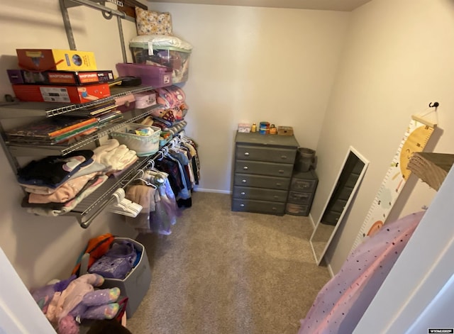 4230 S Oak St, Casper, WY 82601 - walk in closet featuring carpet flooring