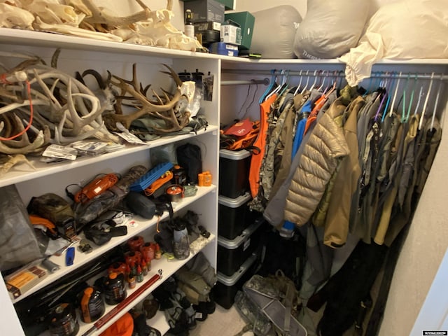 4230 S Oak St, Casper, WY 82601 - view of walk in closet