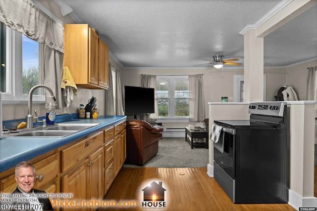 kitchen with range with electric cooktop, a sink, ceiling fan, light wood finished floors, and a textured ceiling
