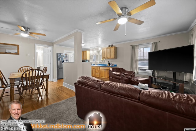 living room featuring a ceiling fan, light wood-type flooring, crown molding, baseboards, and a textured ceiling