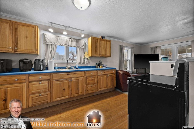 kitchen featuring a sink, ornamental molding, a textured ceiling, light wood-type flooring, and washer / dryer