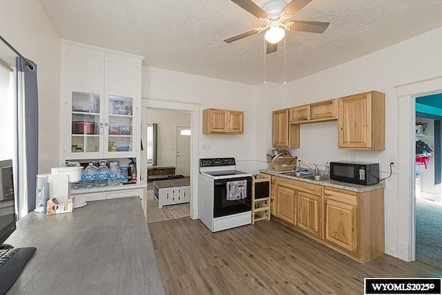 330 M St, Rock Springs, WY 82901 - kitchen featuring electric range oven, black microwave, ceiling fan, dark wood-style floors, and a sink