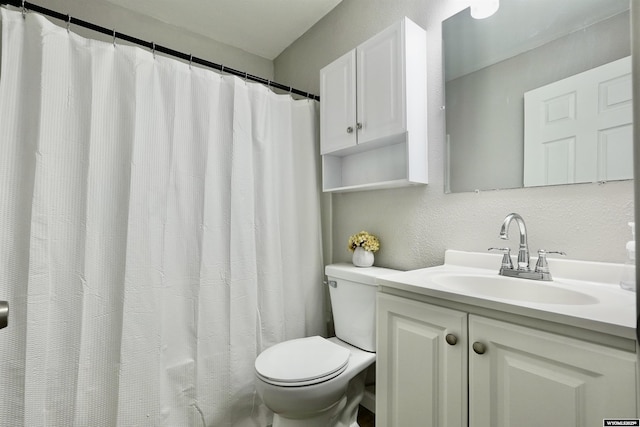 bathroom featuring toilet, vanity, and a textured wall