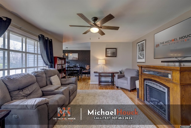 living room featuring wood finished floors, a ceiling fan, and a fireplace