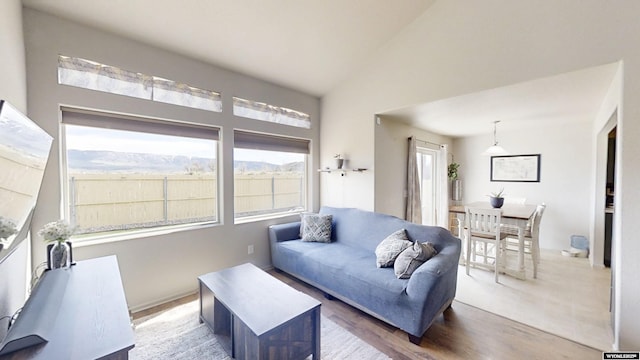 living room with light wood finished floors and high vaulted ceiling