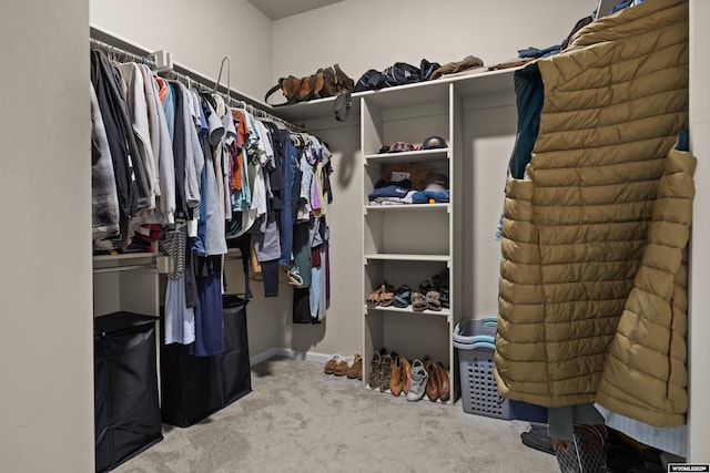 walk in closet featuring carpet