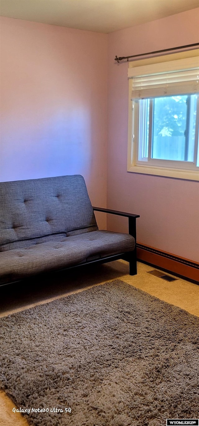 1630 De Smet Ave, Sheridan, WY 82801 - living area featuring carpet