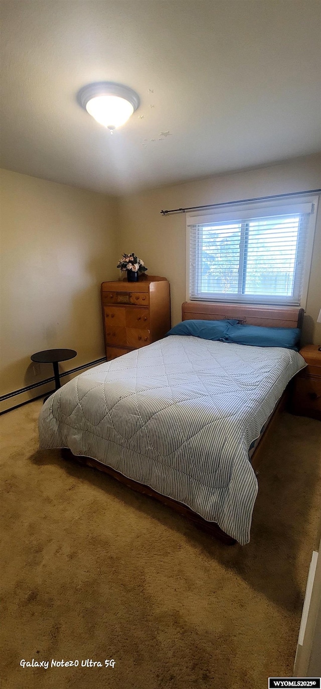 1630 De Smet Ave, Sheridan, WY 82801 - bedroom featuring carpet flooring