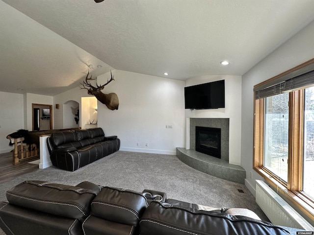 920 Laramie St, Rock Springs, WY 82901 - carpeted living room featuring radiator heating unit, baseboards, healthy amount of natural light, lofted ceiling, and a textured ceiling