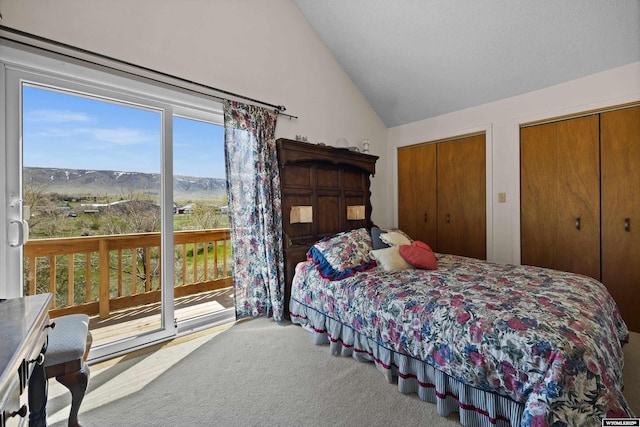 bedroom with vaulted ceiling, multiple windows, multiple closets, and access to outside