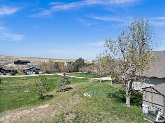 view of green lawn