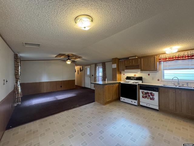1414 Eileen St, Riverton, WY 82501 - kitchen with white appliances, a sink, a peninsula, wainscoting, and open floor plan