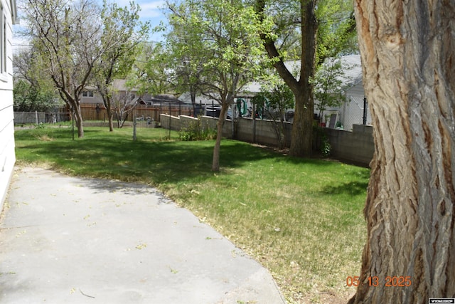 view of yard featuring a patio