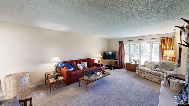 carpeted living area with a textured ceiling