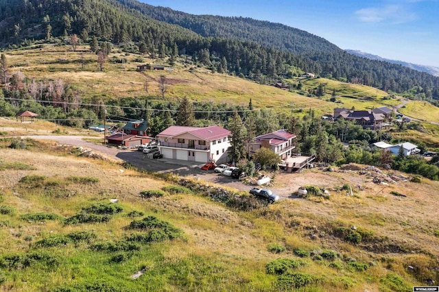aerial view of a heavily wooded area and a mountainous background