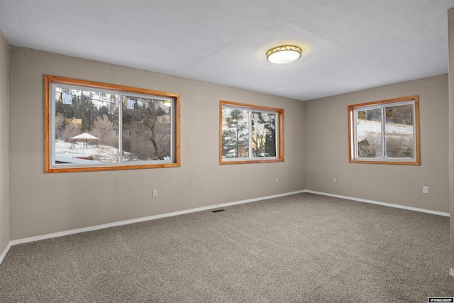 carpeted spare room with healthy amount of natural light and baseboards