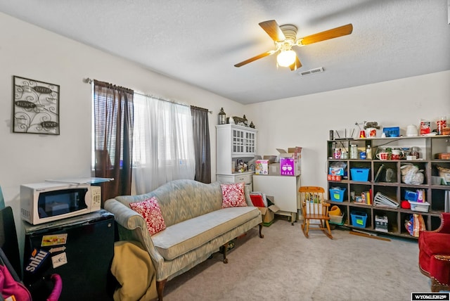 104 Canyon Hollow Dr, Evanston, WY 82930 - living area featuring carpet, a ceiling fan, and a textured ceiling