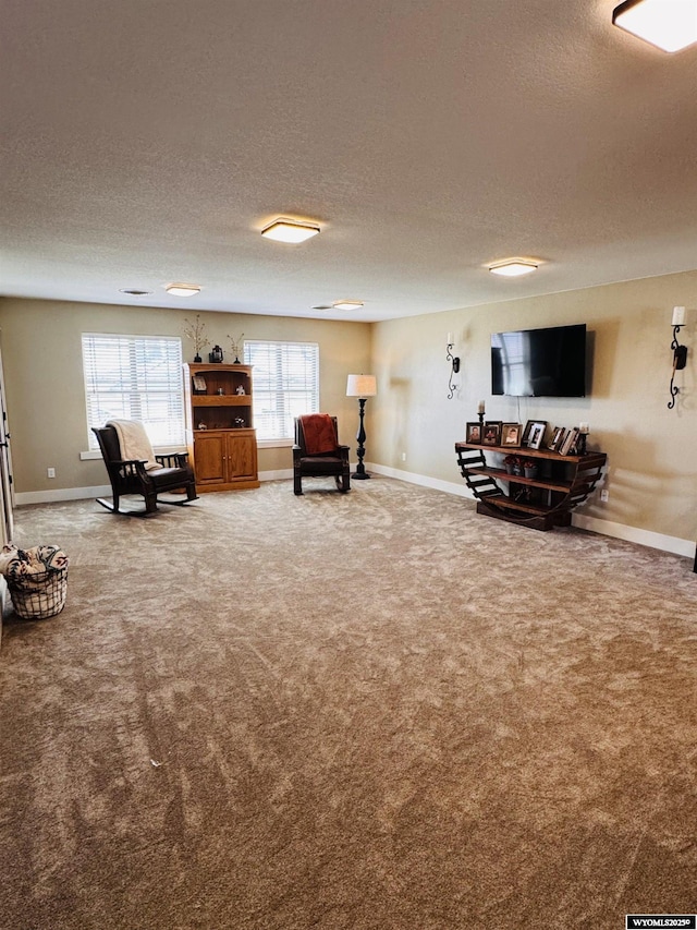 101 Pebble Ln, Torrington, WY 82240 - carpeted living area with baseboards and a textured ceiling