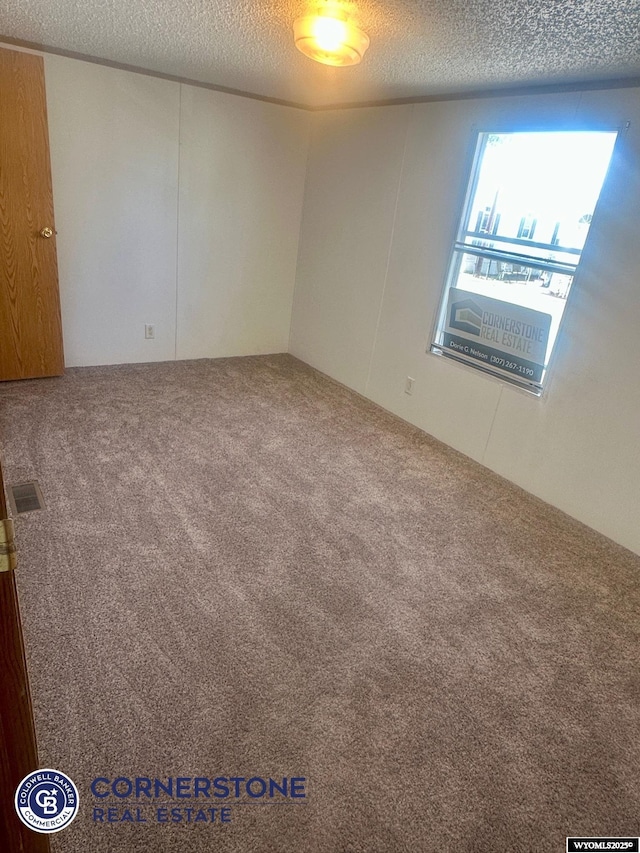 carpeted spare room with a textured ceiling
