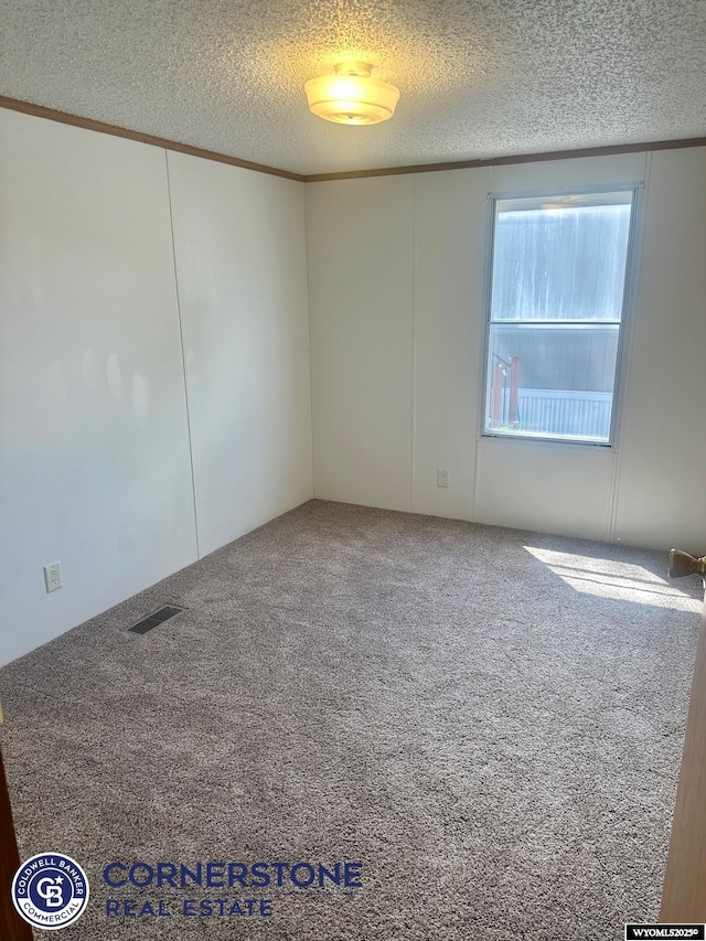 carpeted spare room with a textured ceiling and ornamental molding