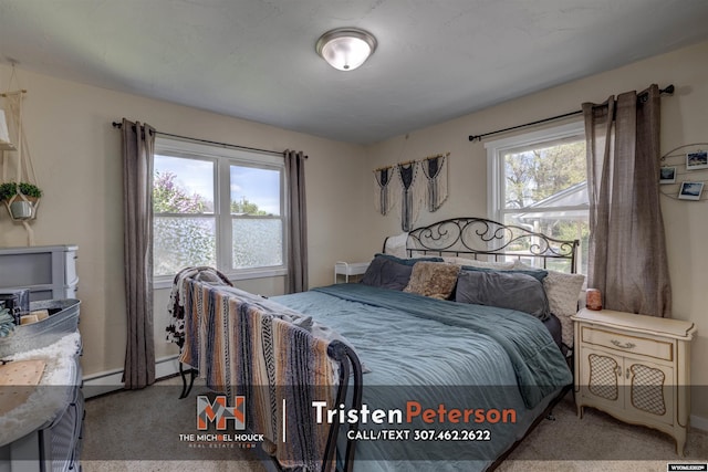 2819 E 6th St, Casper, WY 82609 - bedroom featuring carpet, a baseboard radiator, and baseboards