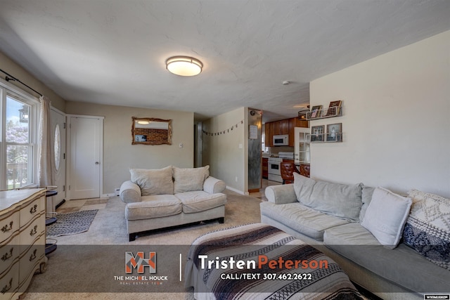 2819 E 6th St, Casper, WY 82609 - living area featuring light carpet and baseboards