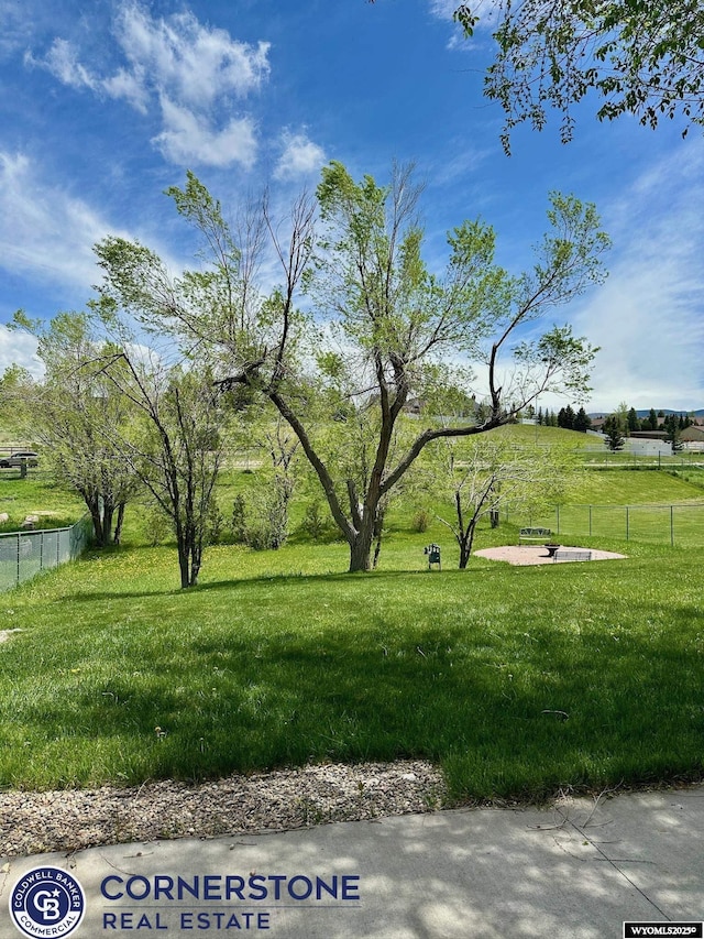 view of yard