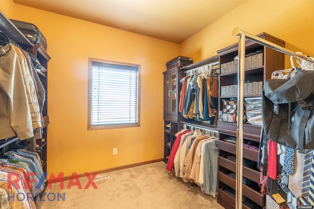 6 Chapparal, Douglas, WY 82633 - spacious closet with carpet floors