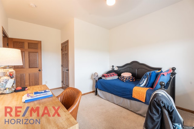 6 Chapparal, Douglas, WY 82633 - bedroom with carpet and baseboards