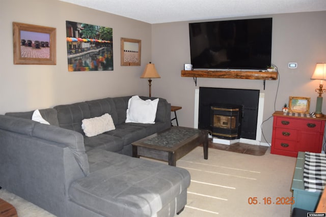 living room with a wood stove