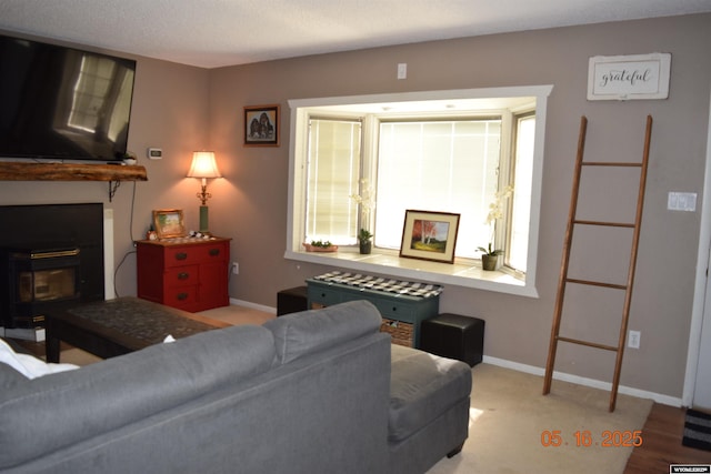 living area with baseboards