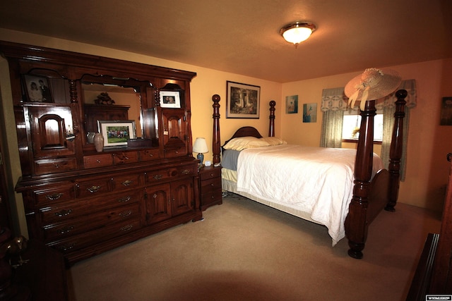 800 E 30th Ave, Torrington, WY 82240 - view of carpeted bedroom