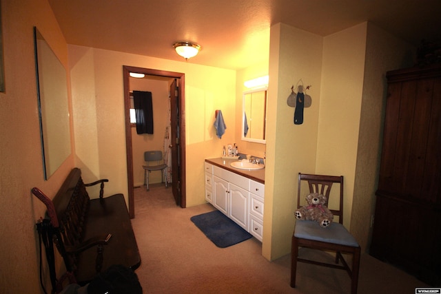 800 E 30th Ave, Torrington, WY 82240 - bathroom with vanity