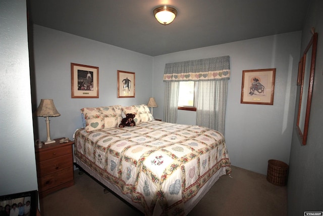 800 E 30th Ave, Torrington, WY 82240 - view of carpeted bedroom