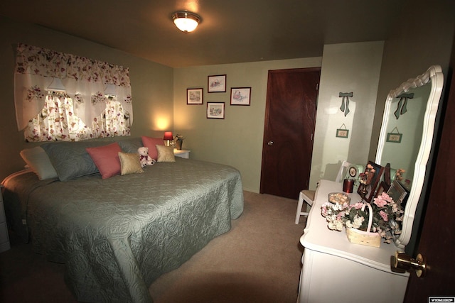800 E 30th Ave, Torrington, WY 82240 - view of carpeted bedroom