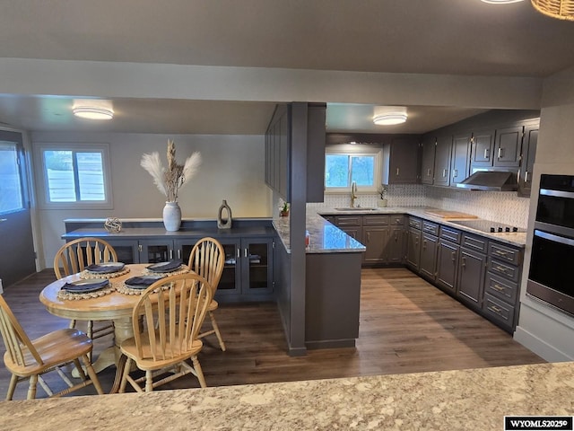 kitchen with a sink, under cabinet range hood, dark wood-type flooring, tasteful backsplash, and healthy amount of natural light