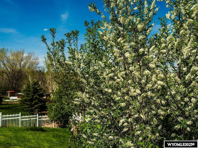 1705 N Heights Cir, Sheridan, WY 82801 - view of yard