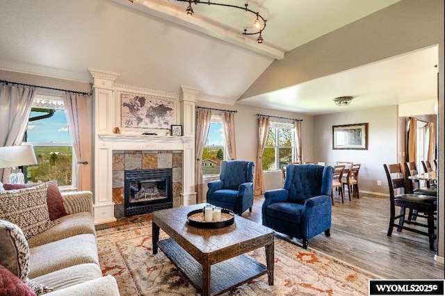 1705 N Heights Cir, Sheridan, WY 82801 - living area with light wood-type flooring, baseboards, a fireplace, and track lighting
