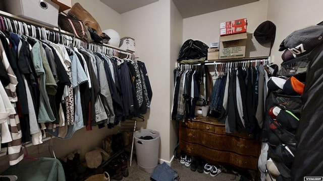 walk in closet with carpet flooring