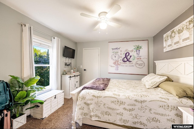 750 N Adams Ave, Buffalo, WY 82834 - carpeted bedroom with ceiling fan