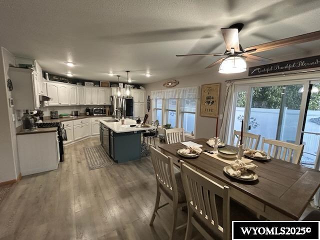 750 N Adams Ave, Buffalo, WY 82834 - dining area with ceiling fan and light wood finished floors