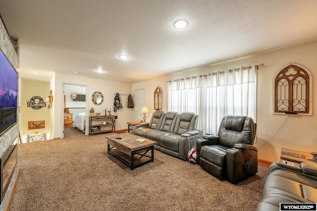 750 N Adams Ave, Buffalo, WY 82834 - living area featuring carpet floors, a textured ceiling, and recessed lighting