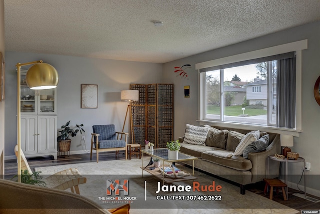 living area with a textured ceiling, wood finished floors, and baseboards