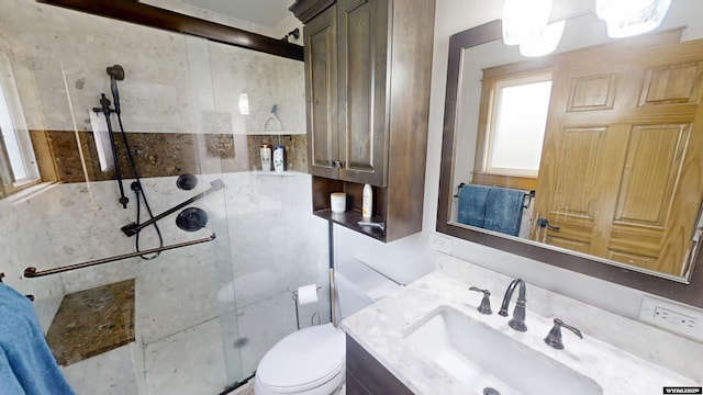bathroom with a stall shower, toilet, and vanity
