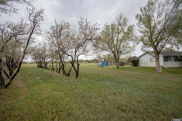 view of green lawn with a storage shed and an outdoor structure