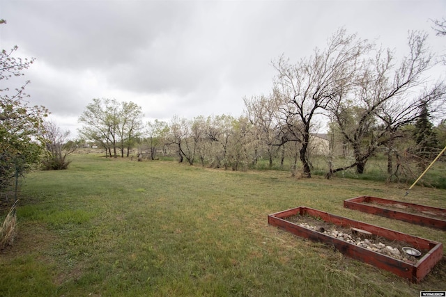 view of green lawn with a garden