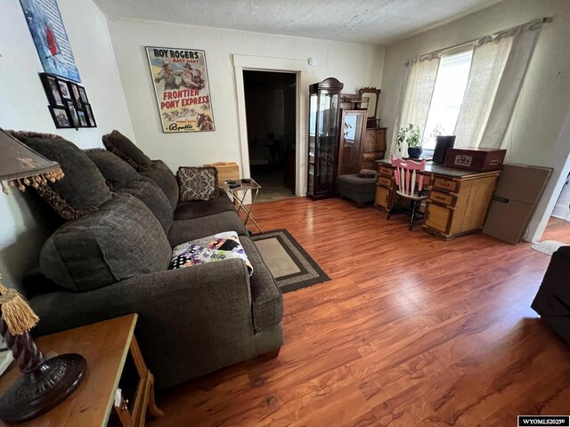 1208 10th St, Wheatland, WY 82201 - living area with wood finished floors and a textured ceiling