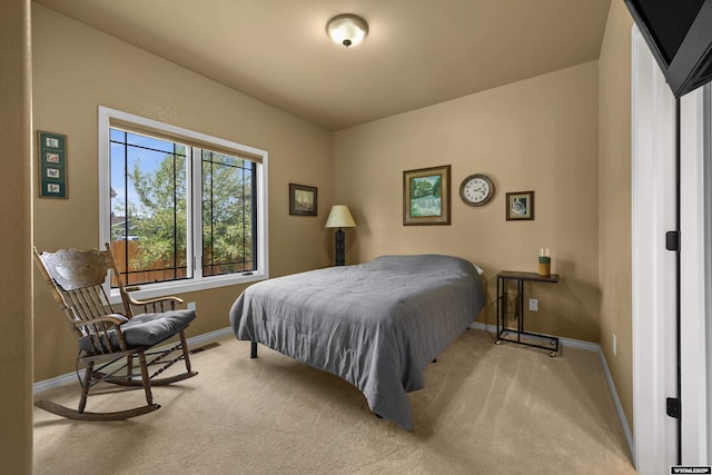 bedroom with baseboards and carpet floors