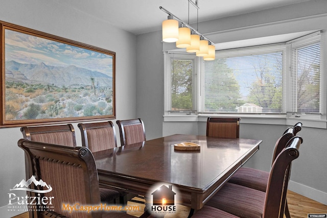 dining room with plenty of natural light, wood finished floors, and baseboards